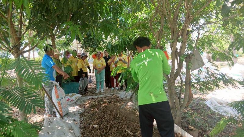 3. โครงการการส่งเสริมการเรียนรู้การปลูกพืชออร์แกนิค หลักสูตรการปลูกพืชออร์แกนิค 
