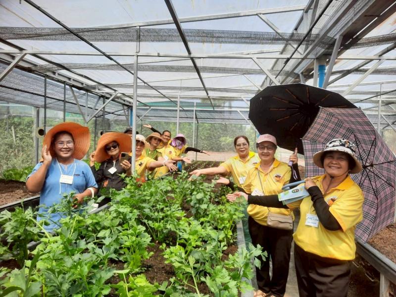 9. โครงการการส่งเสริมการเรียนรู้การปลูกพืชออร์แกนิค หลักสูตรการปลูกพืชออร์แกนิค 