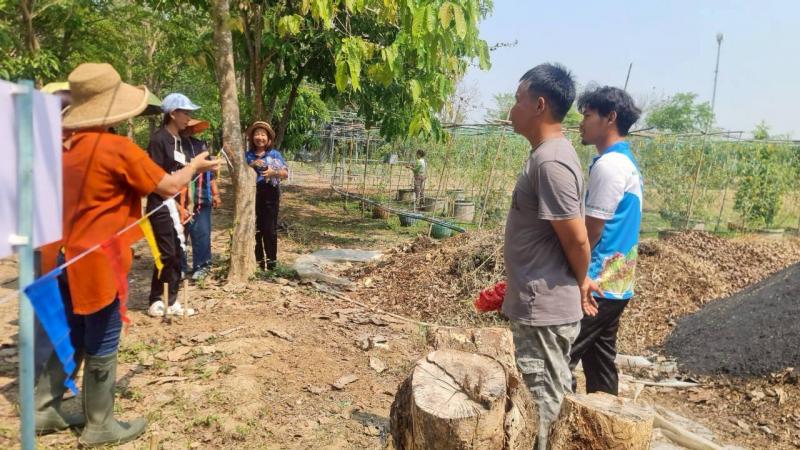 12. โครงการการส่งเสริมการเรียนรู้การปลูกพืชออร์แกนิค หลักสูตรการปลูกพืชออร์แกนิค 