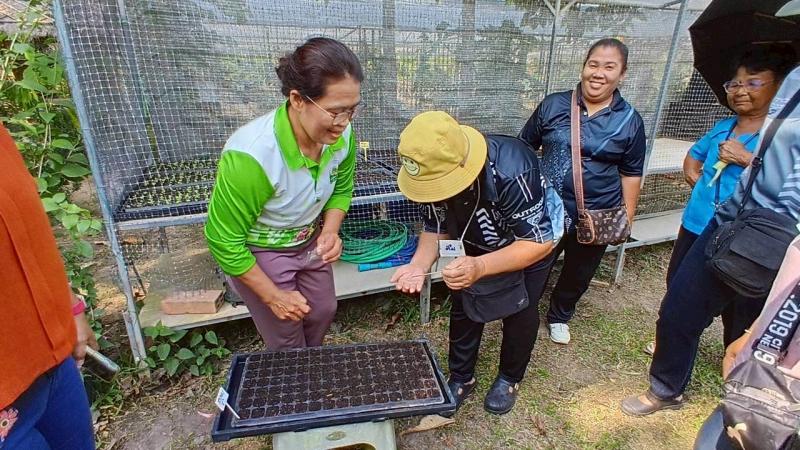 17. โครงการการส่งเสริมการเรียนรู้การปลูกพืชออร์แกนิค หลักสูตรการปลูกพืชออร์แกนิค 