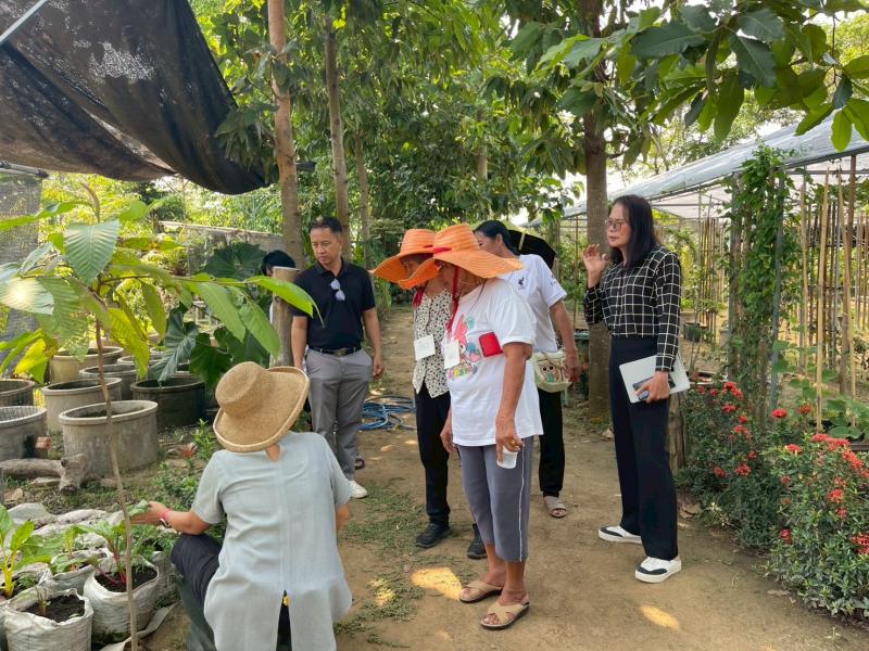 25. โครงการการส่งเสริมการเรียนรู้การปลูกพืชออร์แกนิค หลักสูตรการปลูกพืชออร์แกนิค 
