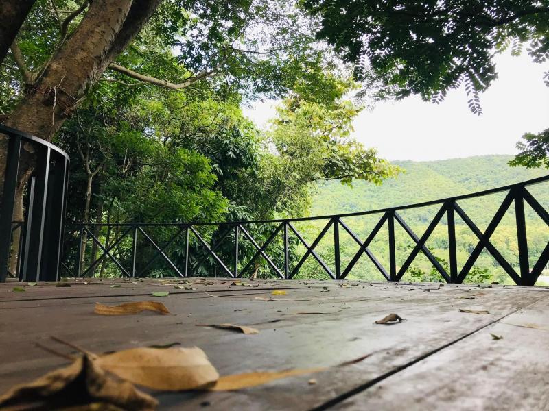 3. โครงการบ้านเล็กในป่าใหญ่ 3. โครงการบ้านเล็กในป่าใหญ่