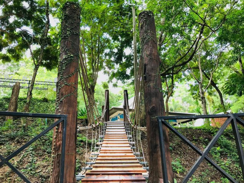 5. โครงการบ้านเล็กในป่าใหญ่