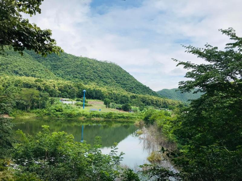 8. โครงการบ้านเล็กในป่าใหญ่