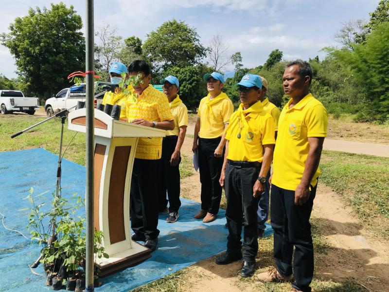 1. โครงการปลูกป่าเฉลิมพระเกียรติ