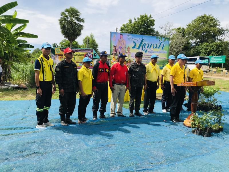 5. โครงการปลูกป่าเฉลิมพระเกียรติ 5. โครงการปลูกป่าเฉลิมพระเกียรติ