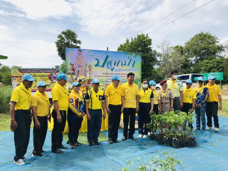 6. โครงการปลูกป่าเฉลิมพระเกียรติ 6. โครงการปลูกป่าเฉลิมพระเกียรติ