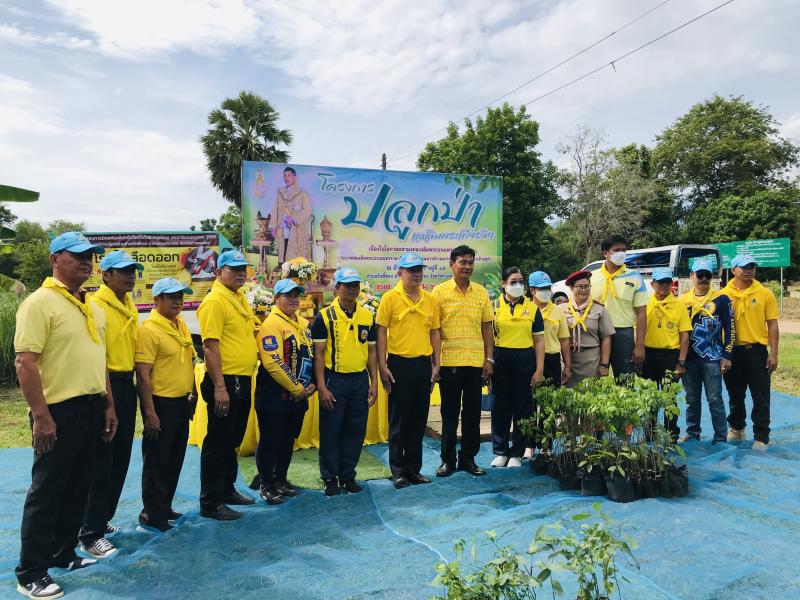 7. โครงการปลูกป่าเฉลิมพระเกียรติ 7. โครงการปลูกป่าเฉลิมพระเกียรติ