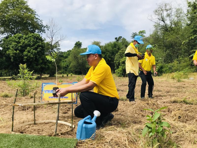 8. โครงการปลูกป่าเฉลิมพระเกียรติ 8. โครงการปลูกป่าเฉลิมพระเกียรติ