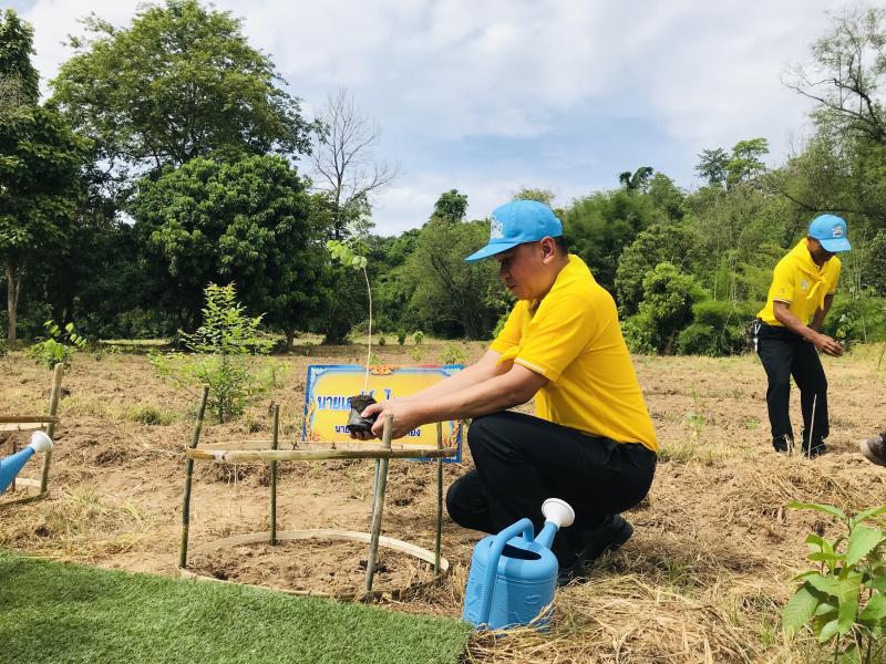 9. โครงการปลูกป่าเฉลิมพระเกียรติ 9. โครงการปลูกป่าเฉลิมพระเกียรติ