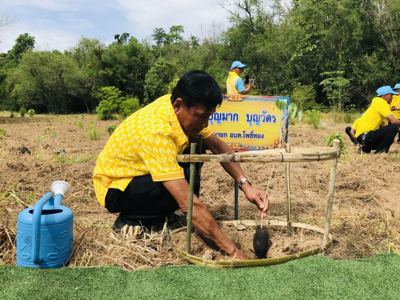 10. โครงการปลูกป่าเฉลิมพระเกียรติ 10. โครงการปลูกป่าเฉลิมพระเกียรติ