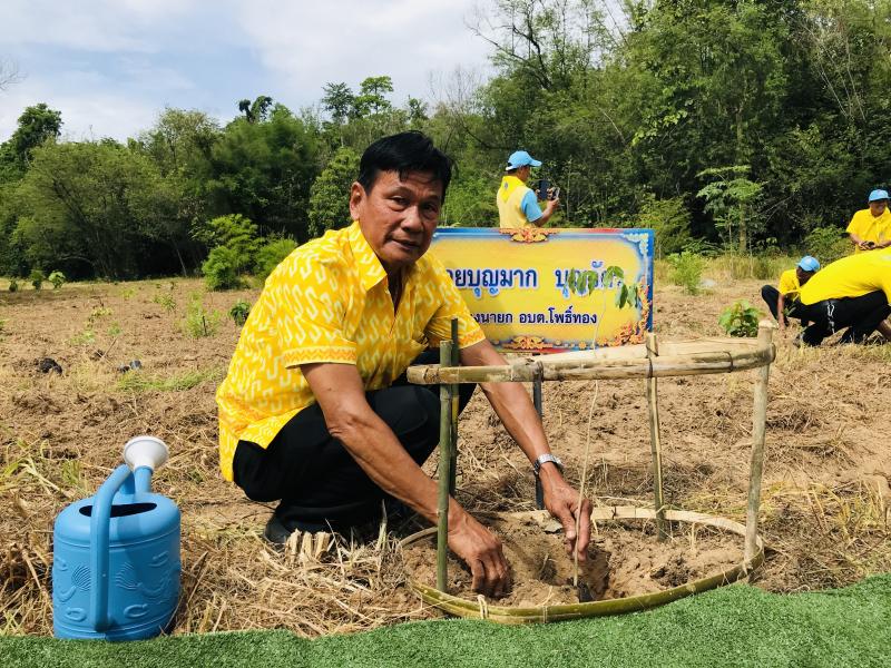 11. โครงการปลูกป่าเฉลิมพระเกียรติ 11. โครงการปลูกป่าเฉลิมพระเกียรติ