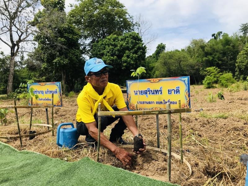 12. โครงการปลูกป่าเฉลิมพระเกียรติ 12. โครงการปลูกป่าเฉลิมพระเกียรติ