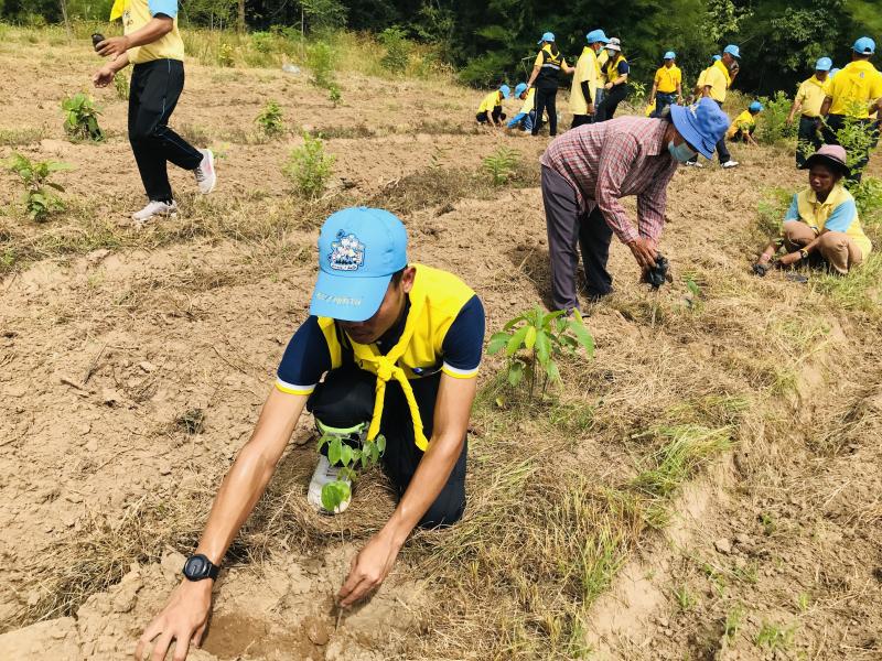 16. โครงการปลูกป่าเฉลิมพระเกียรติ 16. โครงการปลูกป่าเฉลิมพระเกียรติ