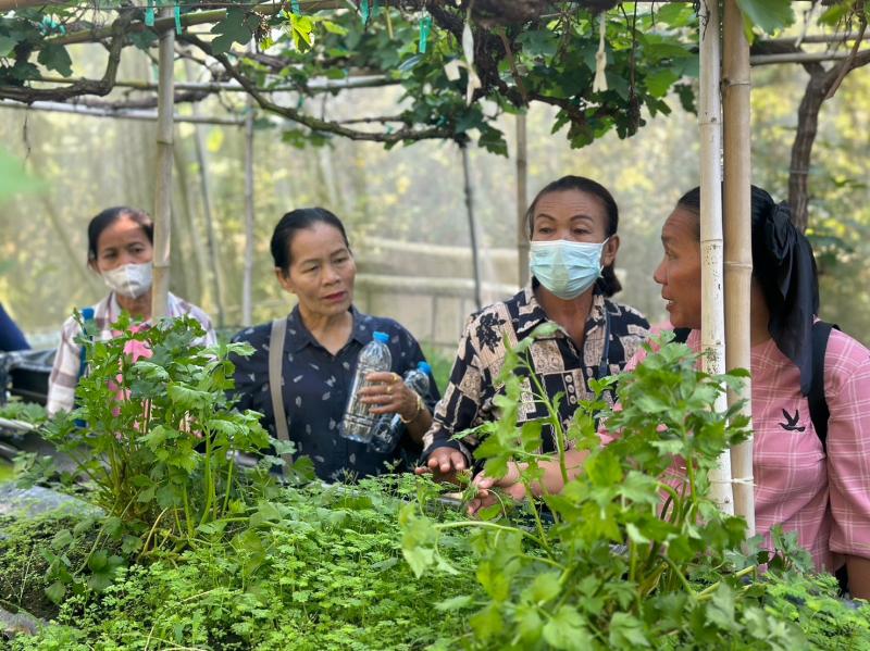 3. โครงการอบรมสร้างความมั่นคงด้านอาชีพและรายได้ ตามหลักปรัชญาของเศรษฐกิจพอเพียง