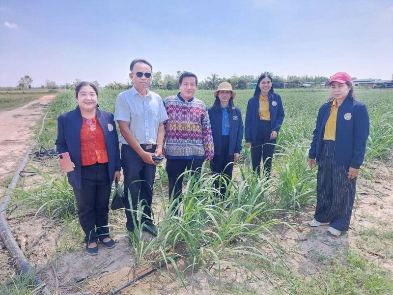 3. ประเมินเทียบระดับการศึกษา มิติประสบการณ์เชิงประจักษ์ 14 มีนาคม 2568