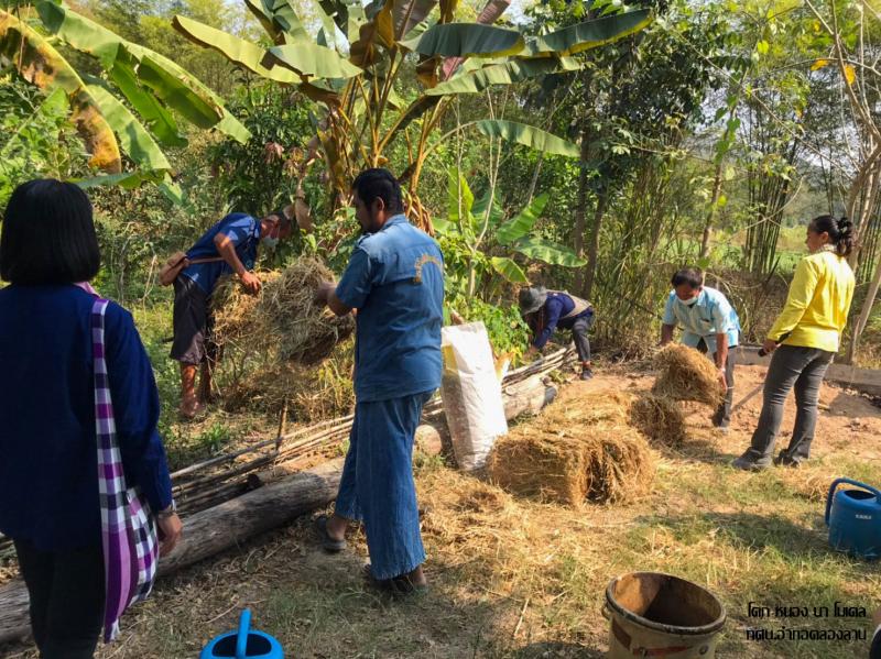 2. โคกหนองนาโมเดล คลองลาน