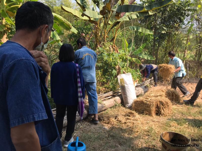 3. โคกหนองนาโมเดล คลองลาน