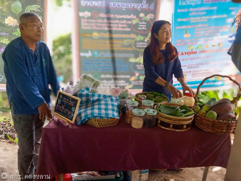 3. เศรษฐกิจพอเพียง โคกหนองนา พจณิชา