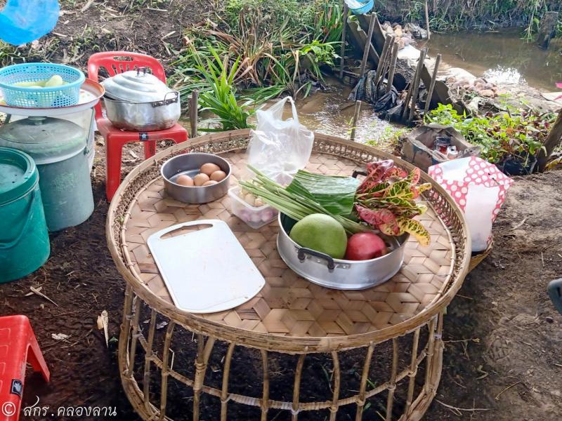 4. เศรษฐกิจพอเพียง โคกหนองนา พจณิชา