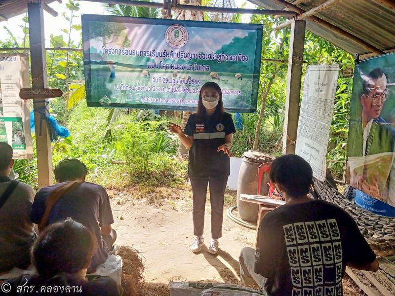 3. เศรษฐกิจพอเพียง โคกหนองนา พจณิชา