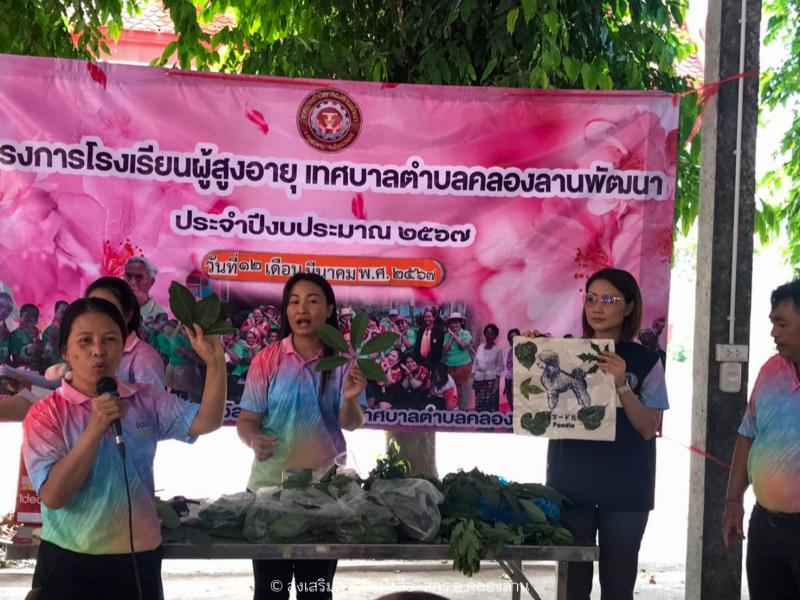 26. สกรีนกระเป๋าจากใบไม้ ส่งเสริมการรู้หนังสือ