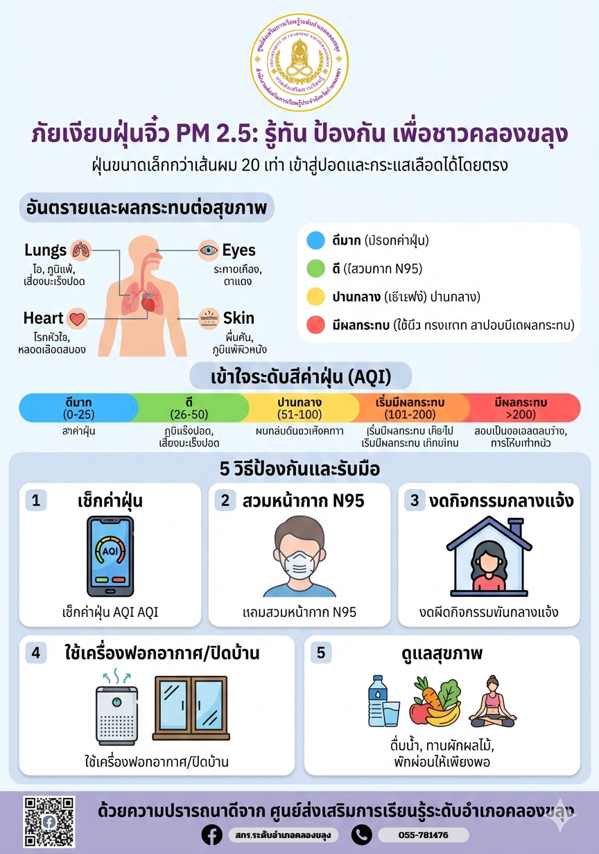 ฝุ่น PM 2.5 ฝุ่นจิ๋วอันตราย