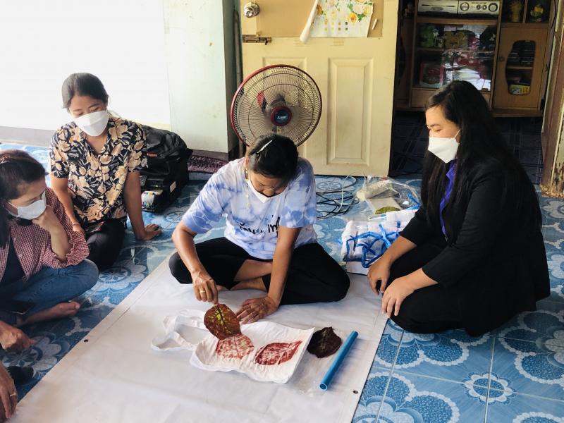 46. หลักสูตรระยะสั้น การทำผ้าพิมพ์ลายใบไม้ จำนวน 31 ชั่วโมง