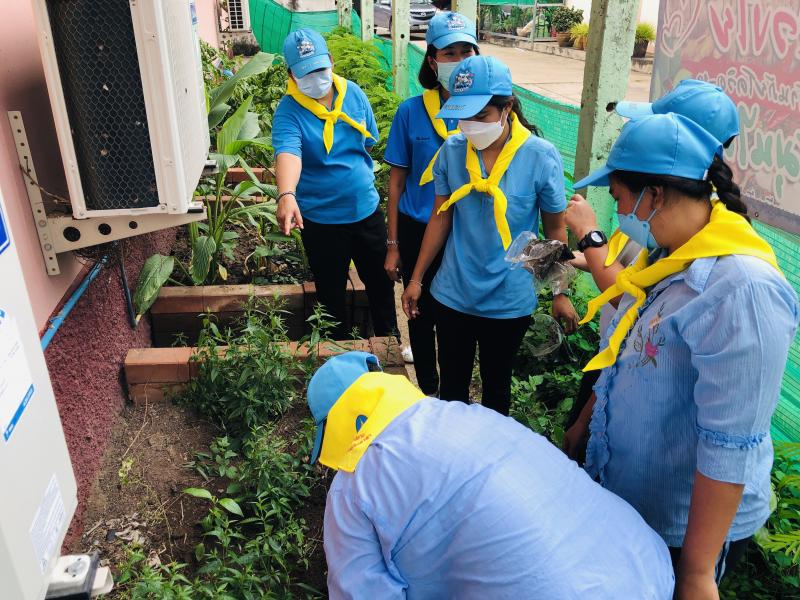 1. โครงการล้านเมล็ดพันธุ์