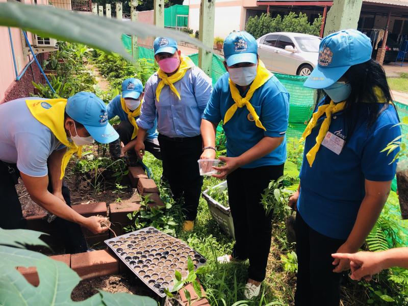 4. โครงการล้านเมล็ดพันธุ์