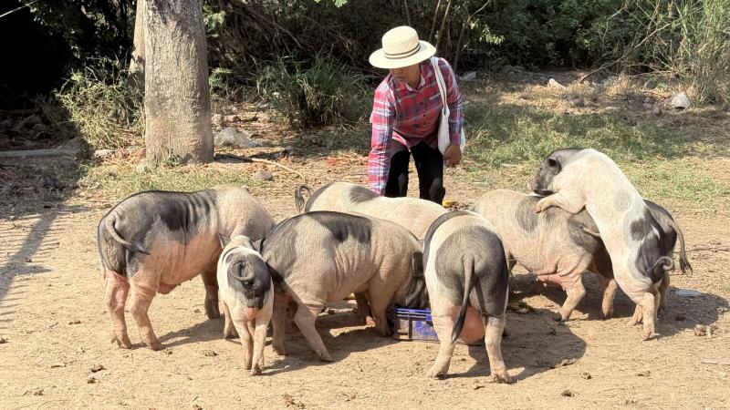 17. โครงการสานต่อศาสตร์พระราชา ตามหลักปรัชญาของเศรษฐกิจพอเพียง