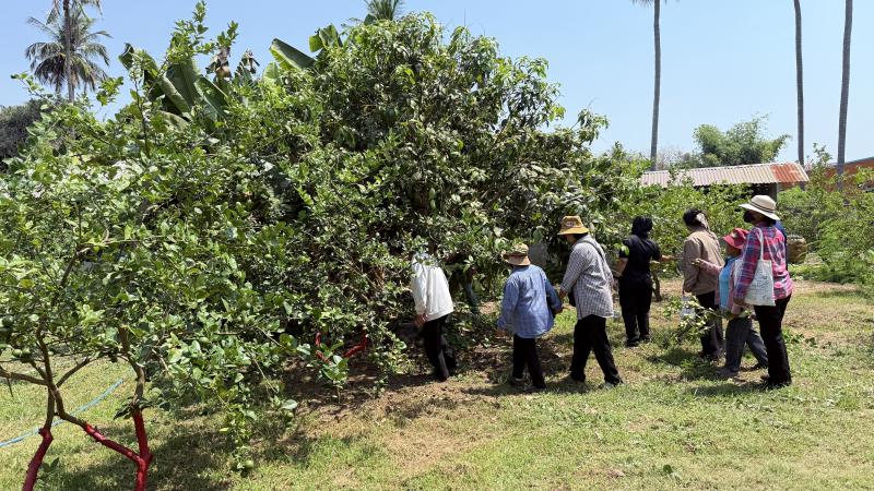 56. โครงการสานต่อศาสตร์พระราชา ตามหลักปรัชญาของเศรษฐกิจพอเพียง