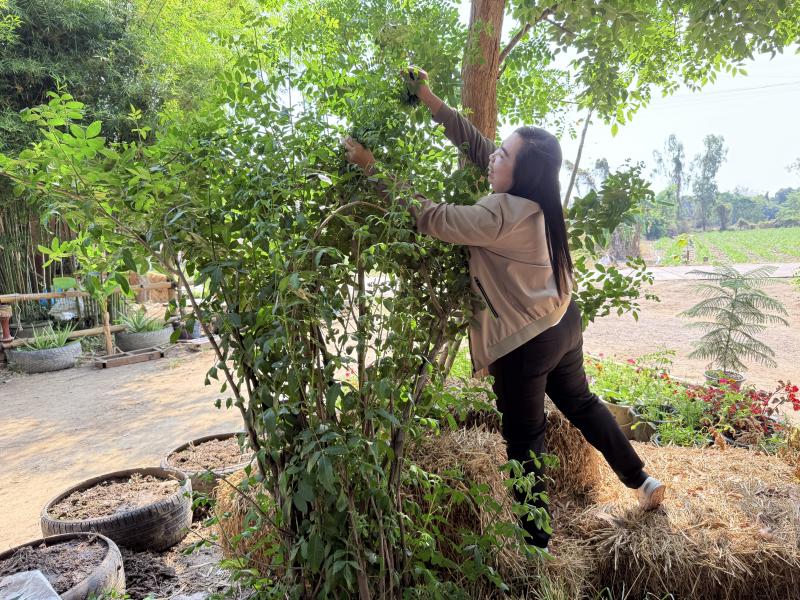 97. โครงการสานต่อศาสตร์พระราชา ตามหลักปรัชญาของเศรษฐกิจพอเพียง