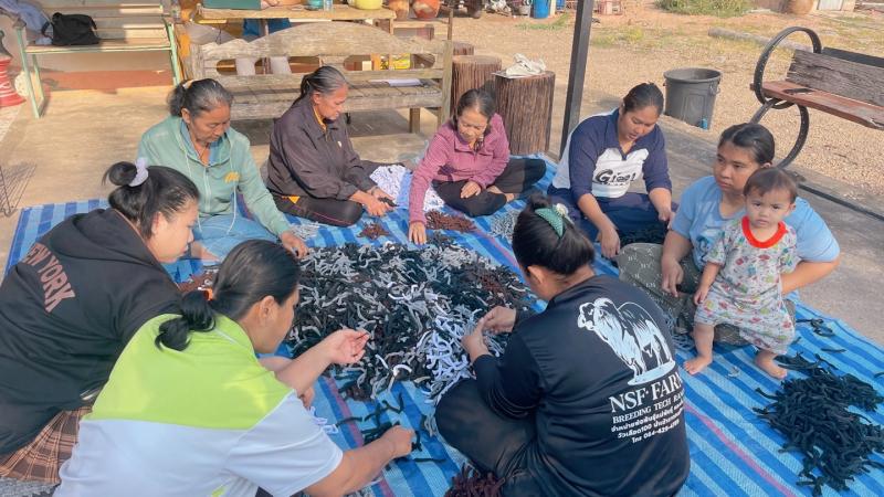 31. การเรียนรู้กลุ่มอาชีพระยะสั้น กลุ่มประชาชน ตำบลเพชรชมภู 