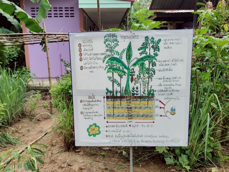 9. ร่วมกันปลูกต้นไม้ เนื่องในวันต้นไม้แห่งชาติ 11 พฤษภาคม 2568