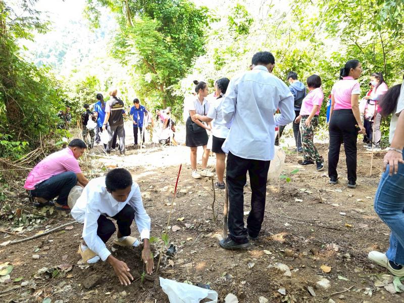 11. เข้าร่วมกิจกรรมโครงการปลูกป่าเฉลิมพระเกียรติ องค์การบริหารส่วนตำบลเพชรชมภู อำเภอโกสัมพันคร