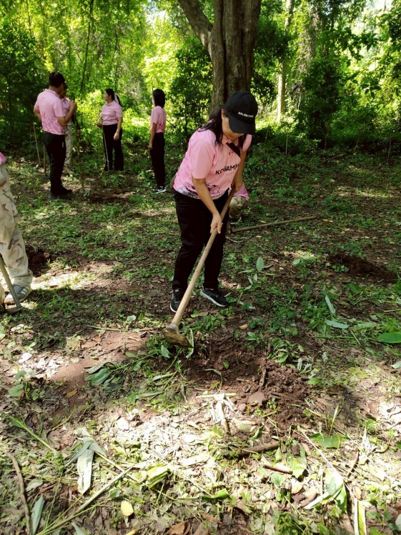 17. เข้าร่วมกิจกรรมโครงการปลูกป่าเฉลิมพระเกียรติ องค์การบริหารส่วนตำบลเพชรชมภู อำเภอโกสัมพันคร