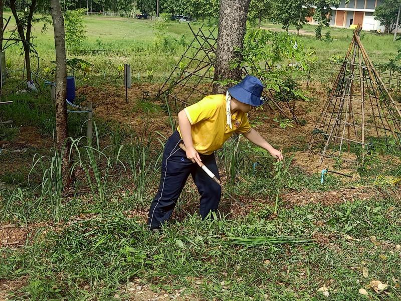 6. กิจกรรมจิตอาสาเฉลิมพระเกียรติ สมเด็จพระนางเจ้าสิริกิติ์ พระบรมราชินีนาถ พระบรมราชชนนีพันปีหลวง