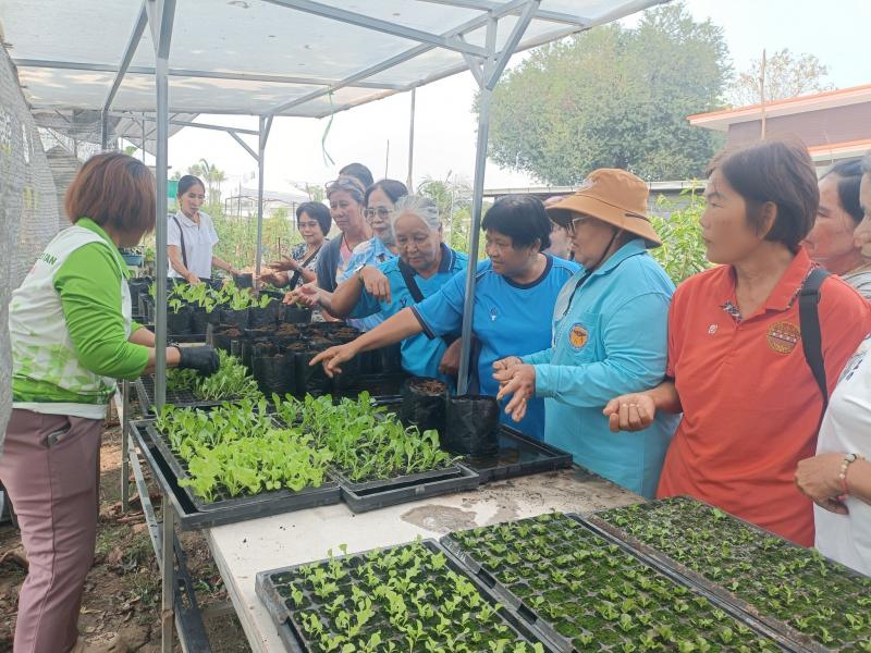 5. โครงการเรียนรูตามหลักปรัชญาของเศรษฐกิจ (การปลูกผักไฮโดรโปรนิกส์)