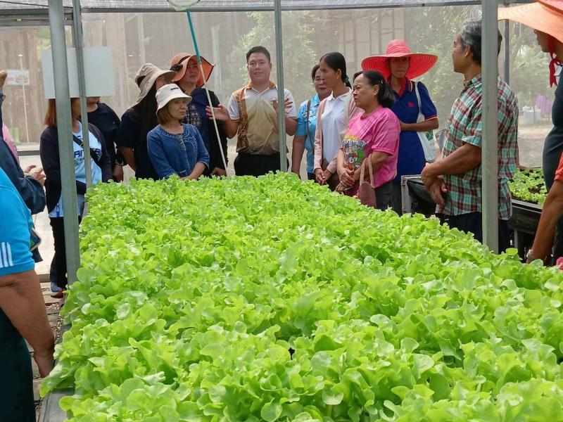 3. โครงการเรียนรูตามหลักปรัชญาของเศรษฐกิจ (การปลูกผักไฮโดรโปรนิกส์)