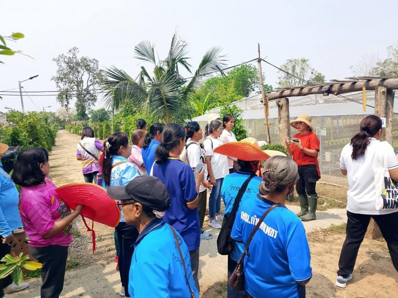 4. โครงการเรียนรูตามหลักปรัชญาของเศรษฐกิจ (การปลูกผักไฮโดรโปรนิกส์)