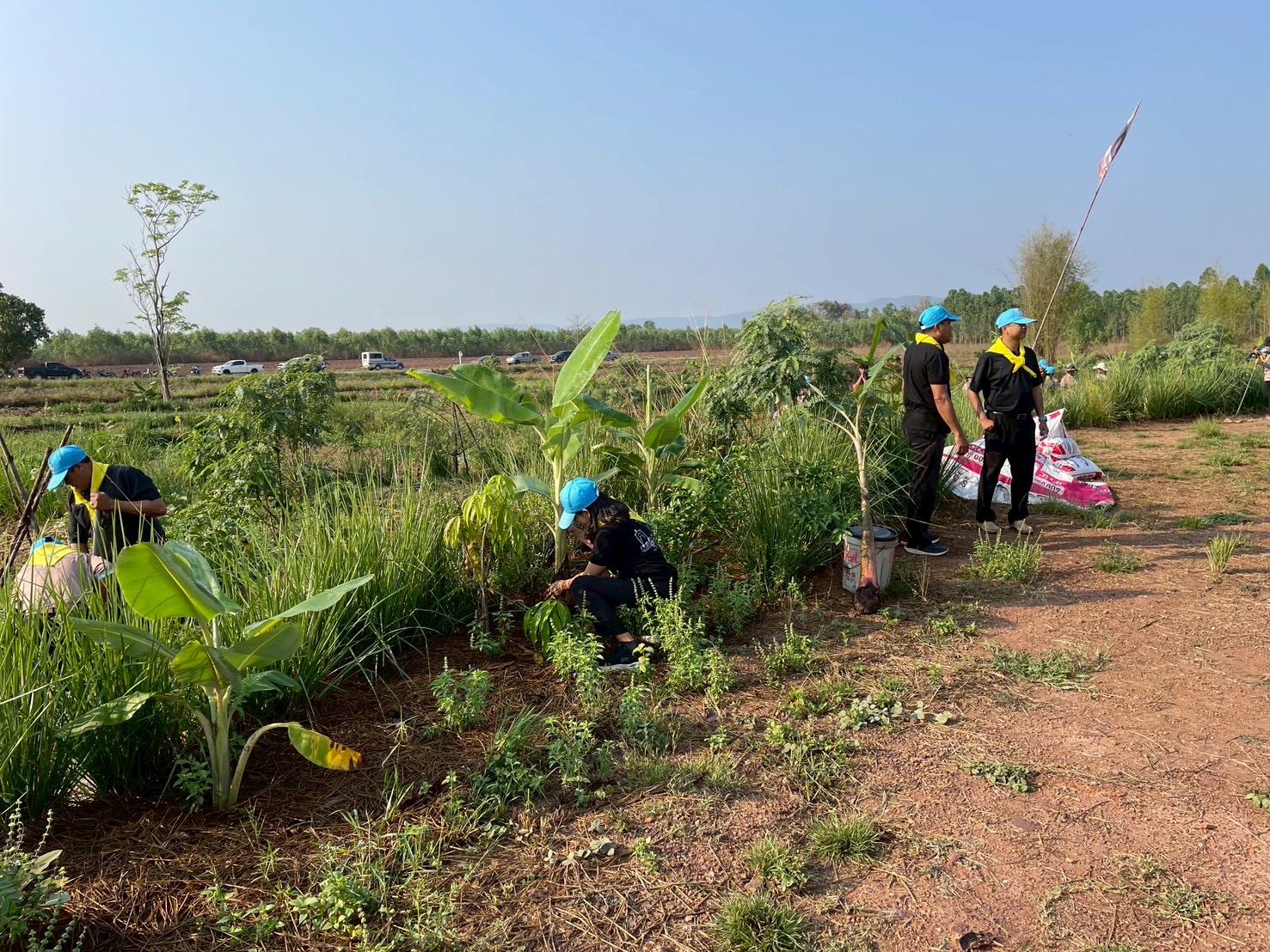 เข้าร่วมกิจกรรมพัฒนาแหล่งเรียนรู้   โคก หนอง นา  ข้าราชบริพาร หน่วยราชการในพระองค์ 