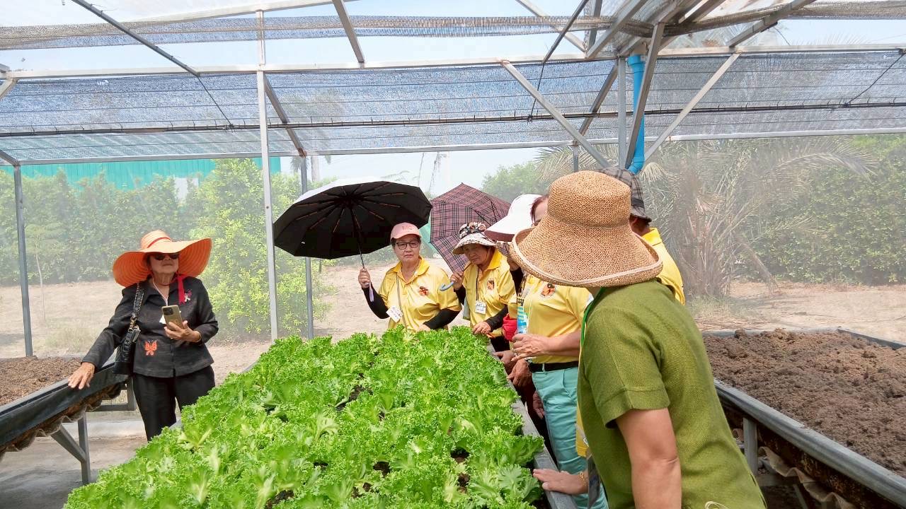 โครงการการส่งเสริมการเรียนรู้การปลูกพืชออร์แกนิค หลักสูตรการปลูกพืชออร์แกนิค