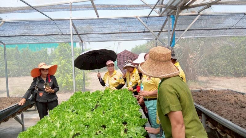 6. โครงการการส่งเสริมการเรียนรู้การปลูกพืชออร์แกนิค หลักสูตรการปลูกพืชออร์แกนิค