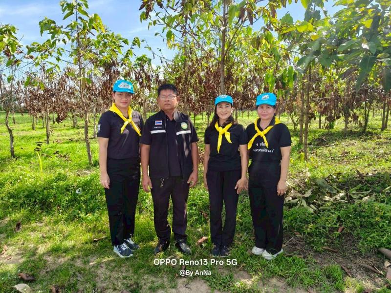 3. เข้าร่วมโครงการปลูกต้นไม้เพื่อเพิ่มพื้นที่สีเขียวแบบมีส่วนร่วม  และโครงการบริหารจัดการขยะชุมชน (Big cleaning day) ประจำปีงบประมาณ 2569 