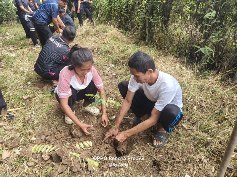3. เข้าร่วมโครงการกิจกรรม ปลูกต้นไม้ และกิจกรรม Big cleaning day ประจำปีงบประมาณ 2569