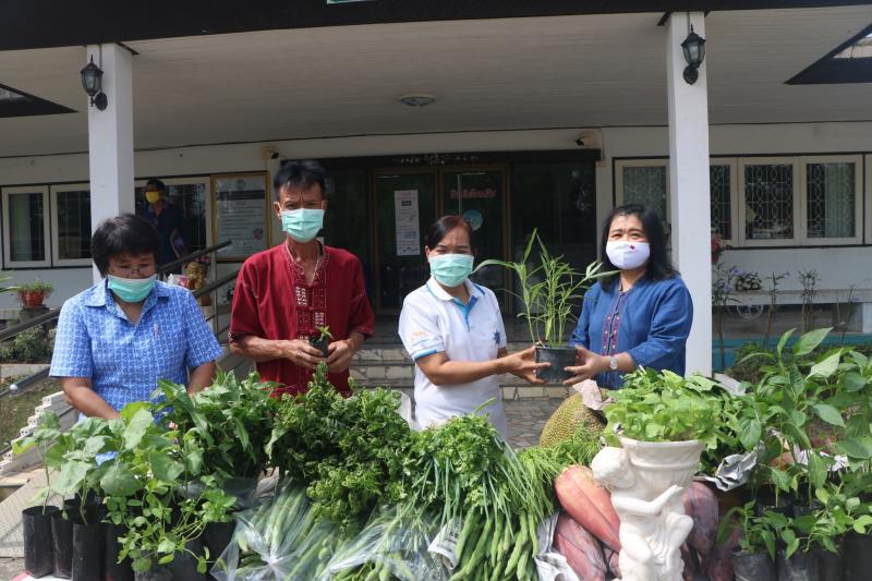 5. สำนักงาน กศน. จังหวัดกำแพงเพชรรับมอบกล้าผักและพืชผักสวนครัวปลอดสารพิษจากกลุ่มปลูกผักอินทรีย์ 