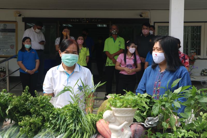 6. สำนักงาน กศน. จังหวัดกำแพงเพชรรับมอบกล้าผักและพืชผักสวนครัวปลอดสารพิษจากกลุ่มปลูกผักอินทรีย์ 