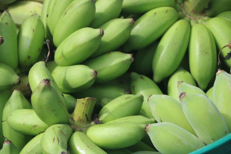 7. สำนักงาน กศน. จังหวัดกำแพงเพชรรับมอบกล้าผักและพืชผักสวนครัวปลอดสารพิษจากกลุ่มปลูกผักอินทรีย์ 