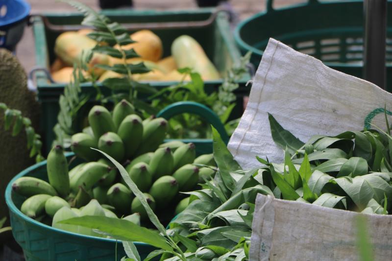 11. สำนักงาน กศน. จังหวัดกำแพงเพชรรับมอบกล้าผักและพืชผักสวนครัวปลอดสารพิษจากกลุ่มปลูกผักอินทรีย์ 